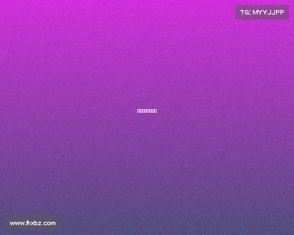 乒乓白金站有几站